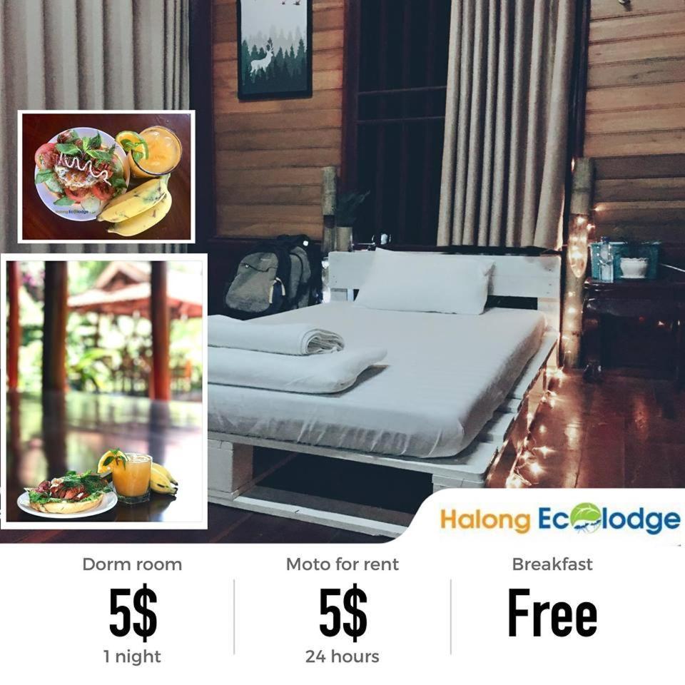 Ecolodge
