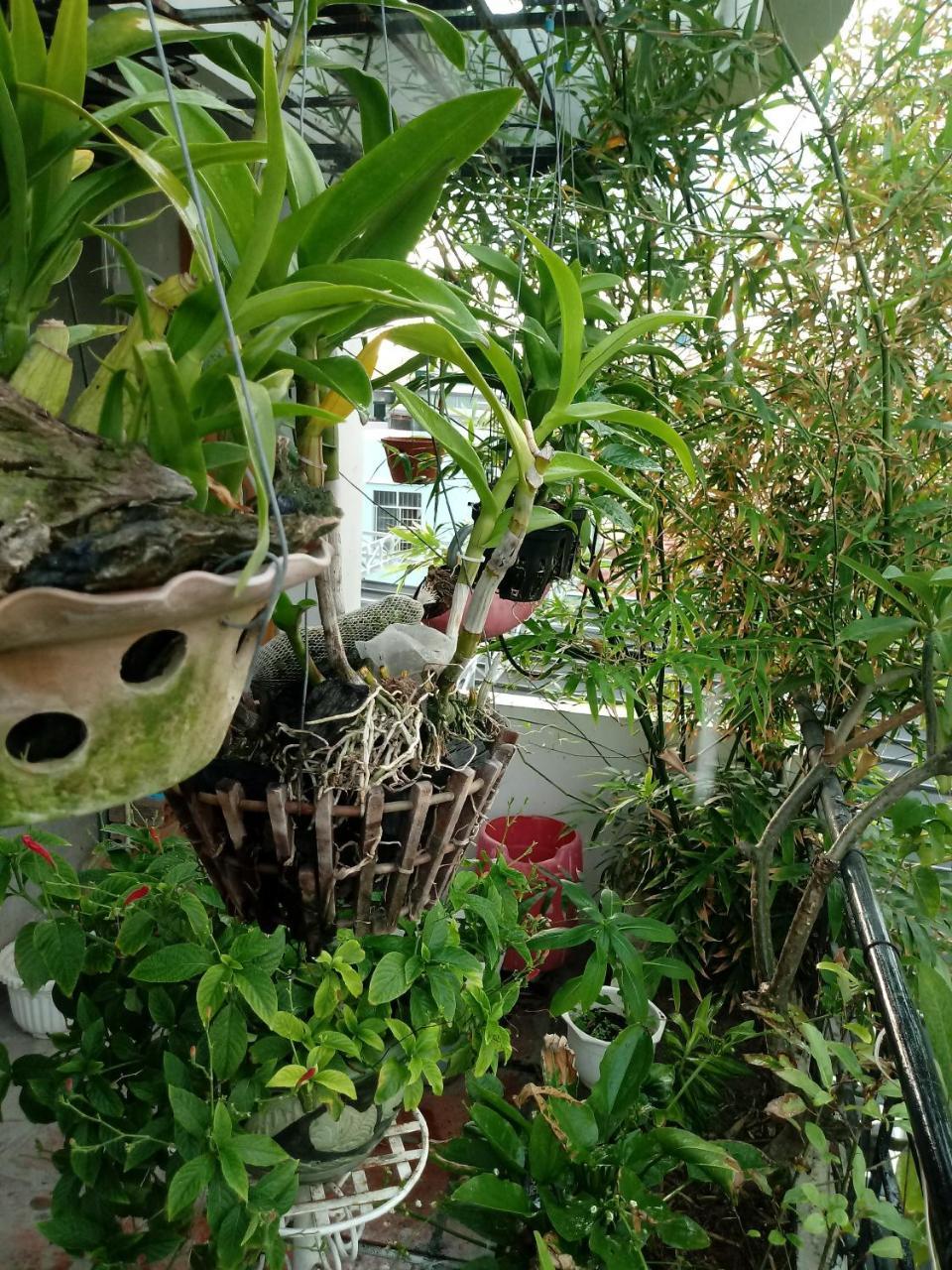 Funny House Guest house Nha Trang
