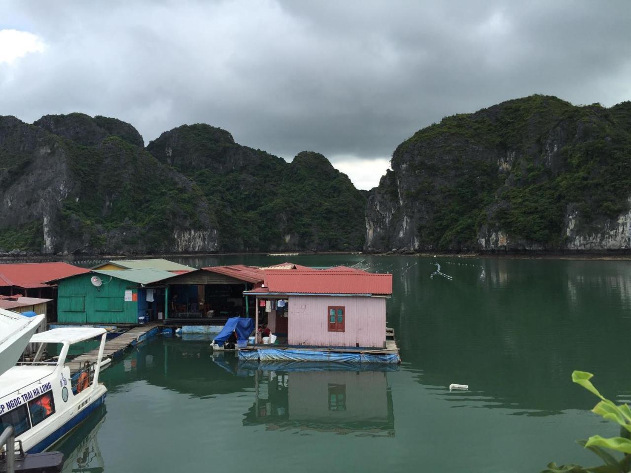 Son Duong 31 Anh Dao