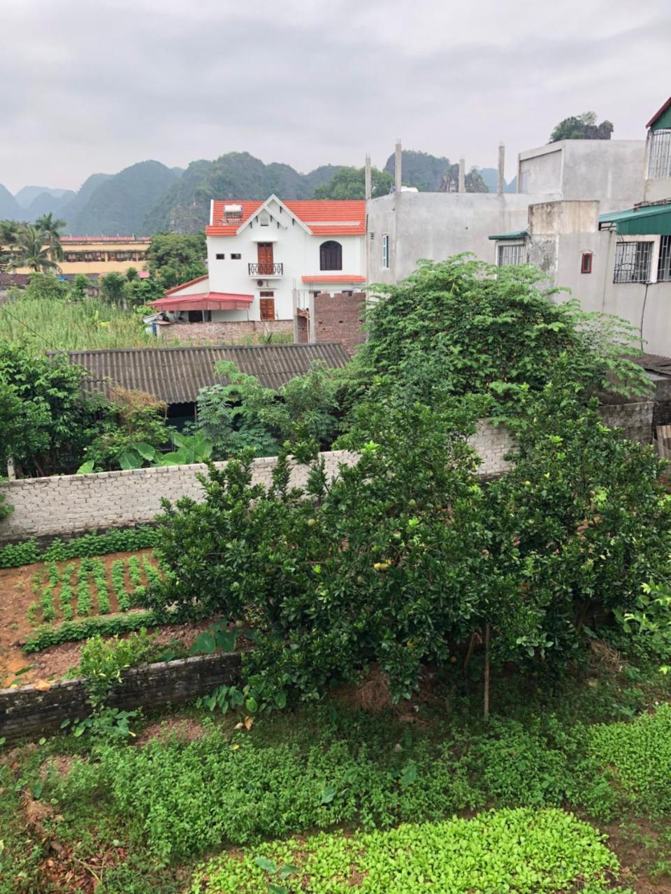 Tam Coc - Thanh Hotel *