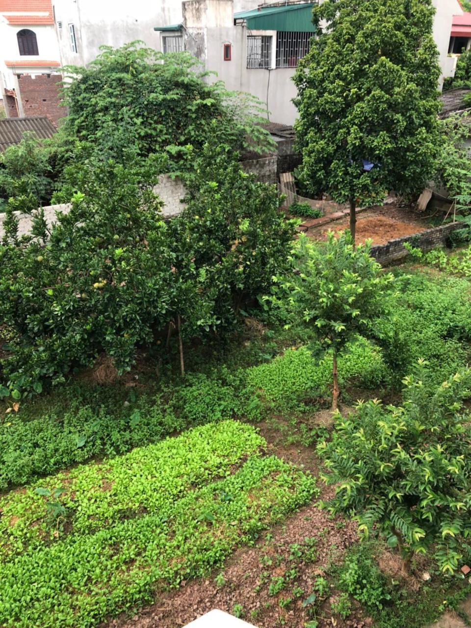 Hotel Tam Coc - Thanh Ninh Binh