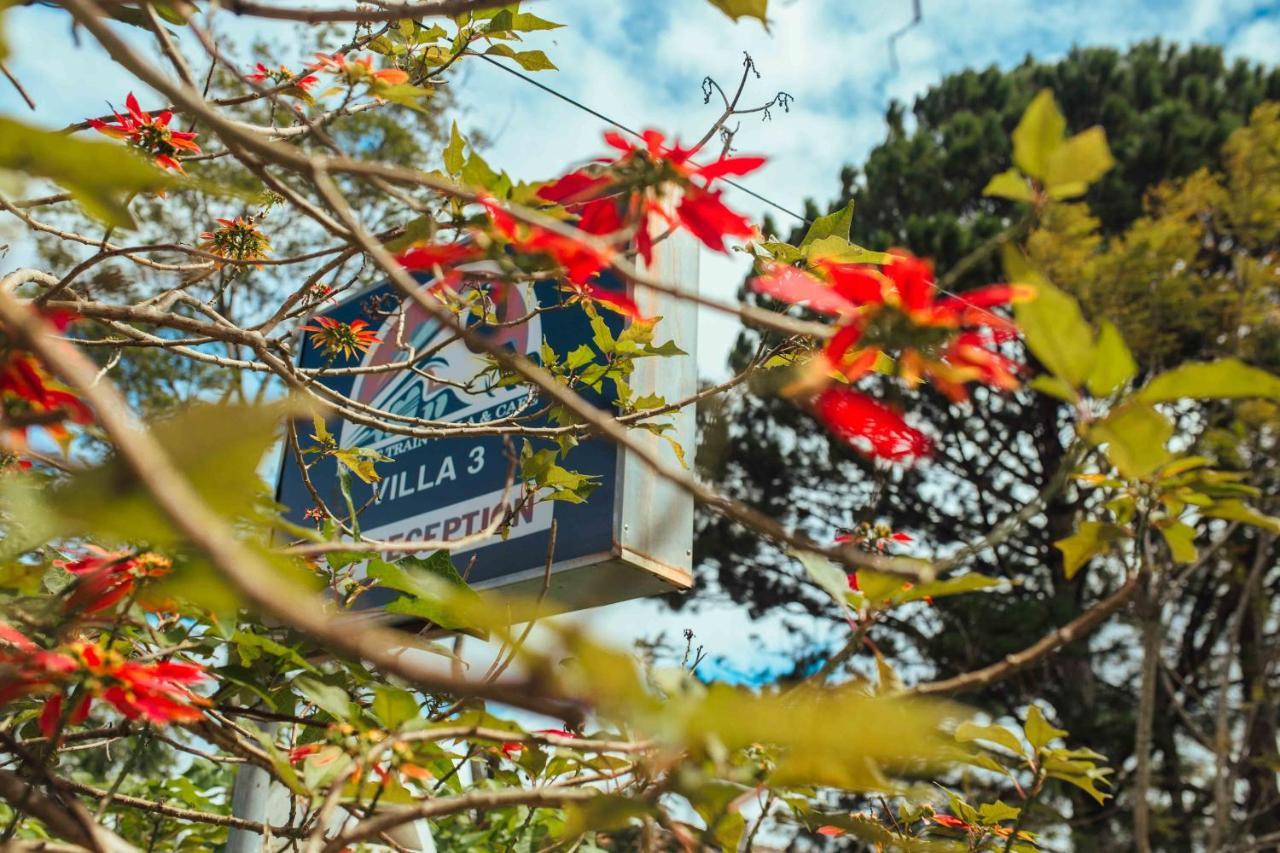 Train Da Lat