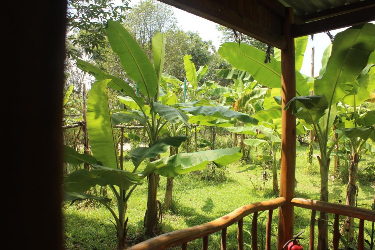 Pepper Farm Phu Quoc