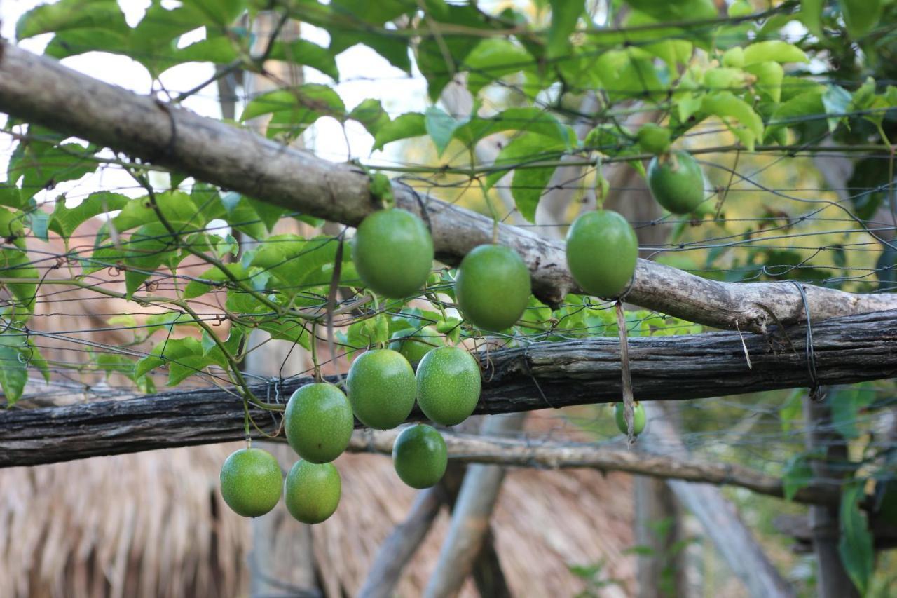 Pepper Farm Phu Quoc Guest house