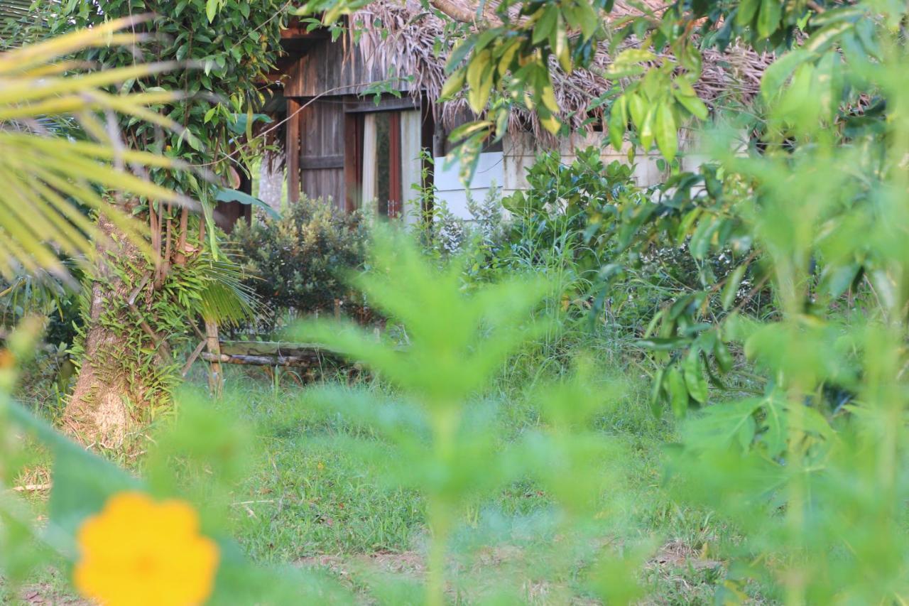 Pepper Farm Phu Quoc Phu Quoc