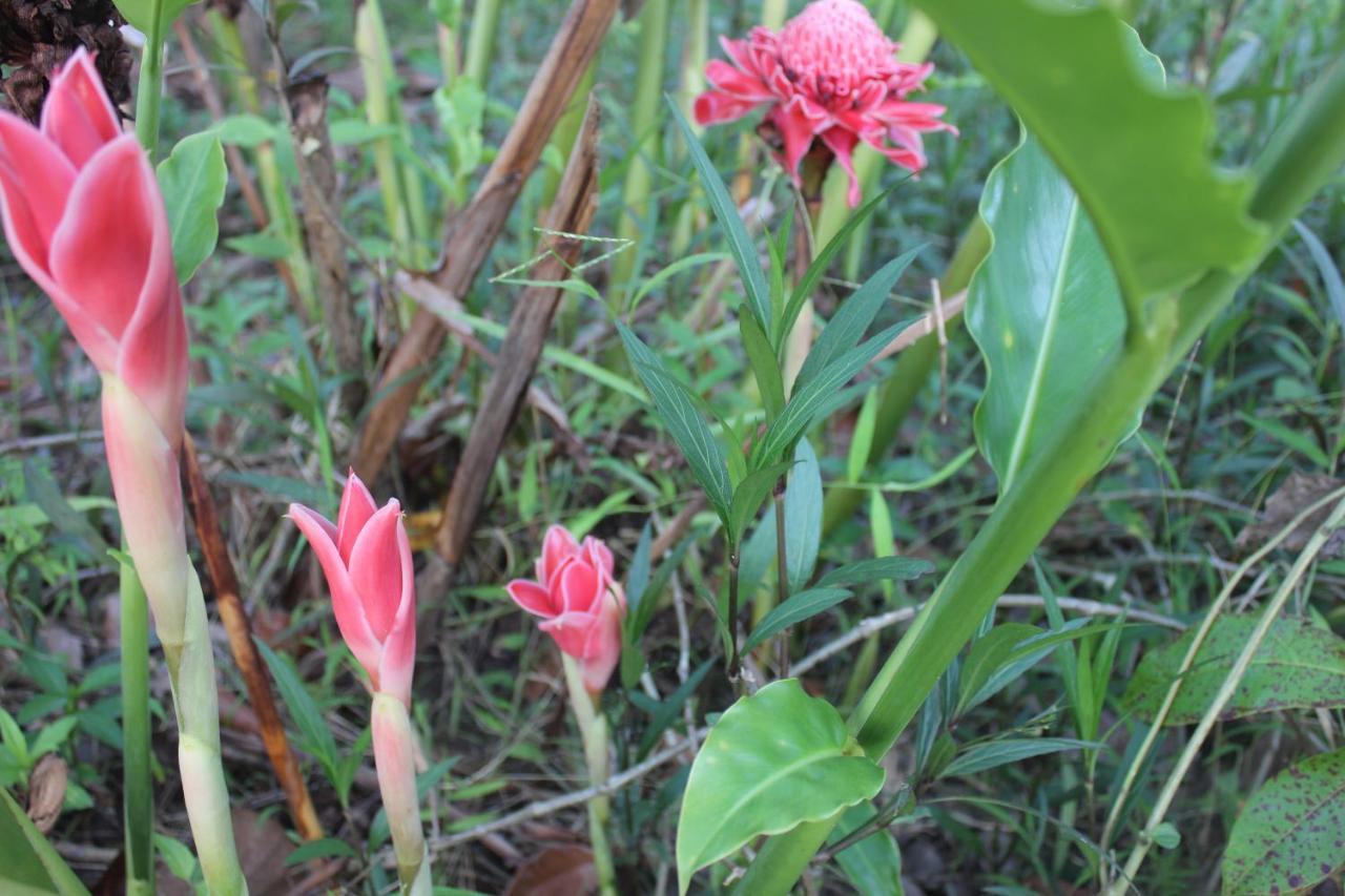 Guest house Pepper Farm Phu Quoc Phu Quoc