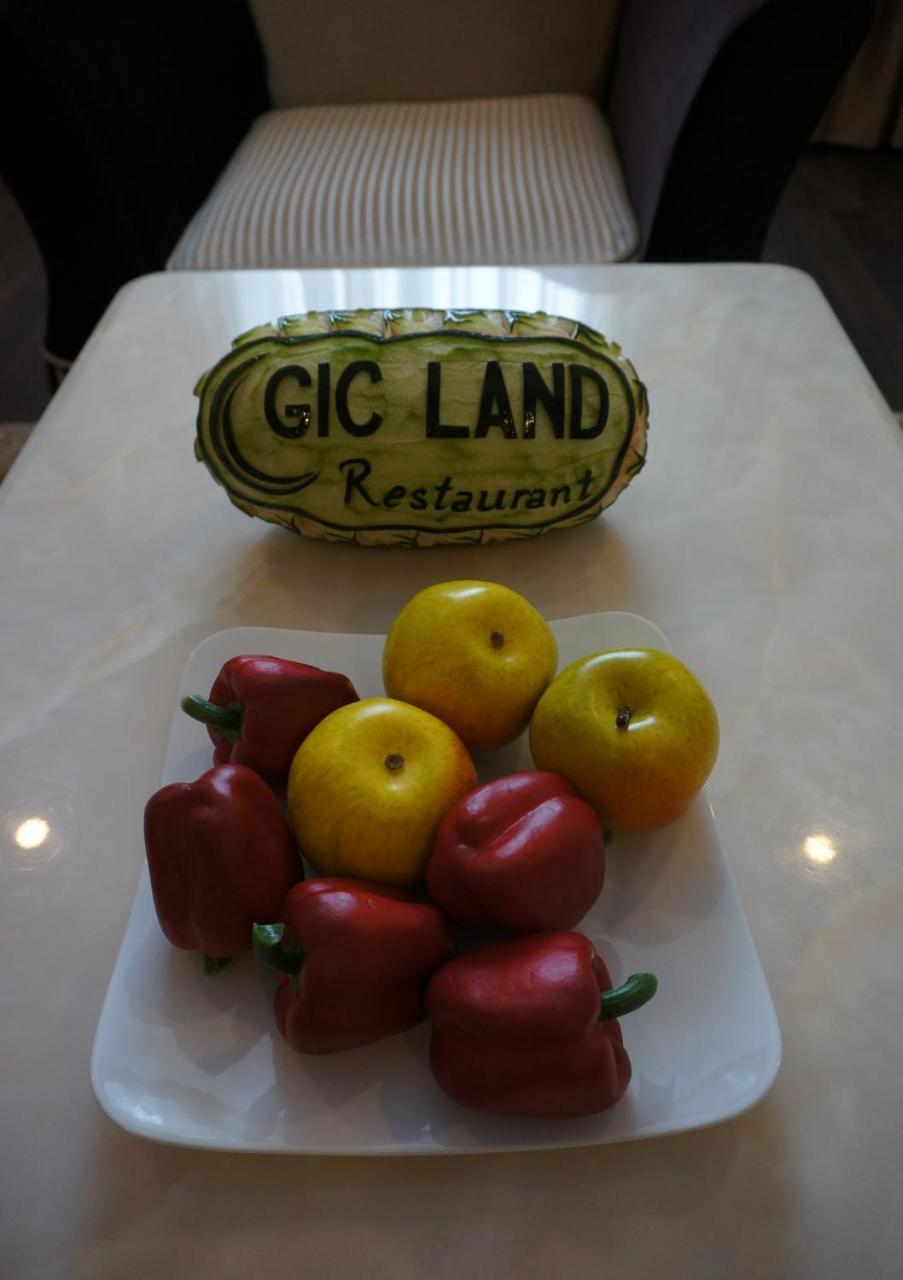 Hotel Gic Land Hotel. Da Nang