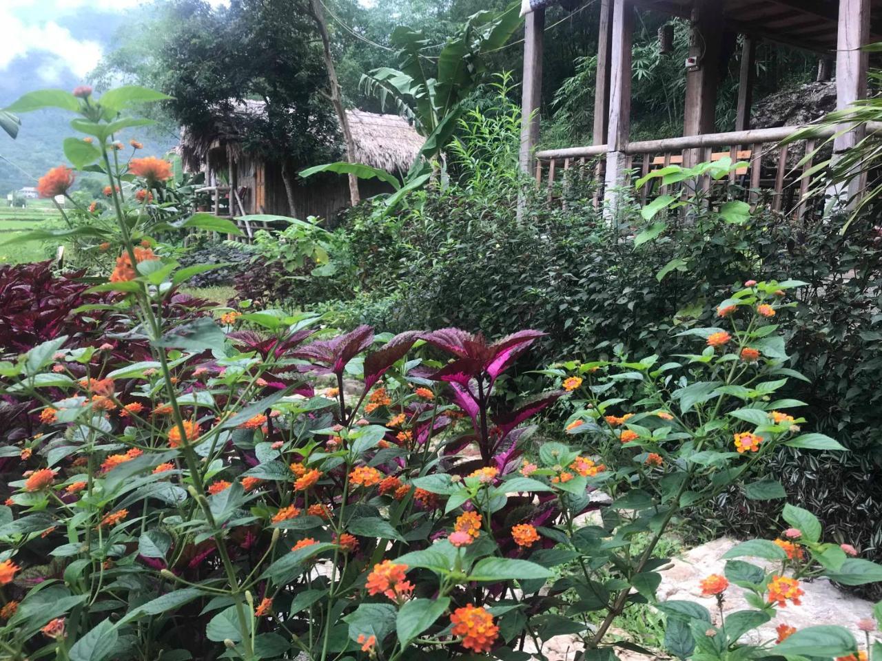 Little Ở trọ Mai Châu
