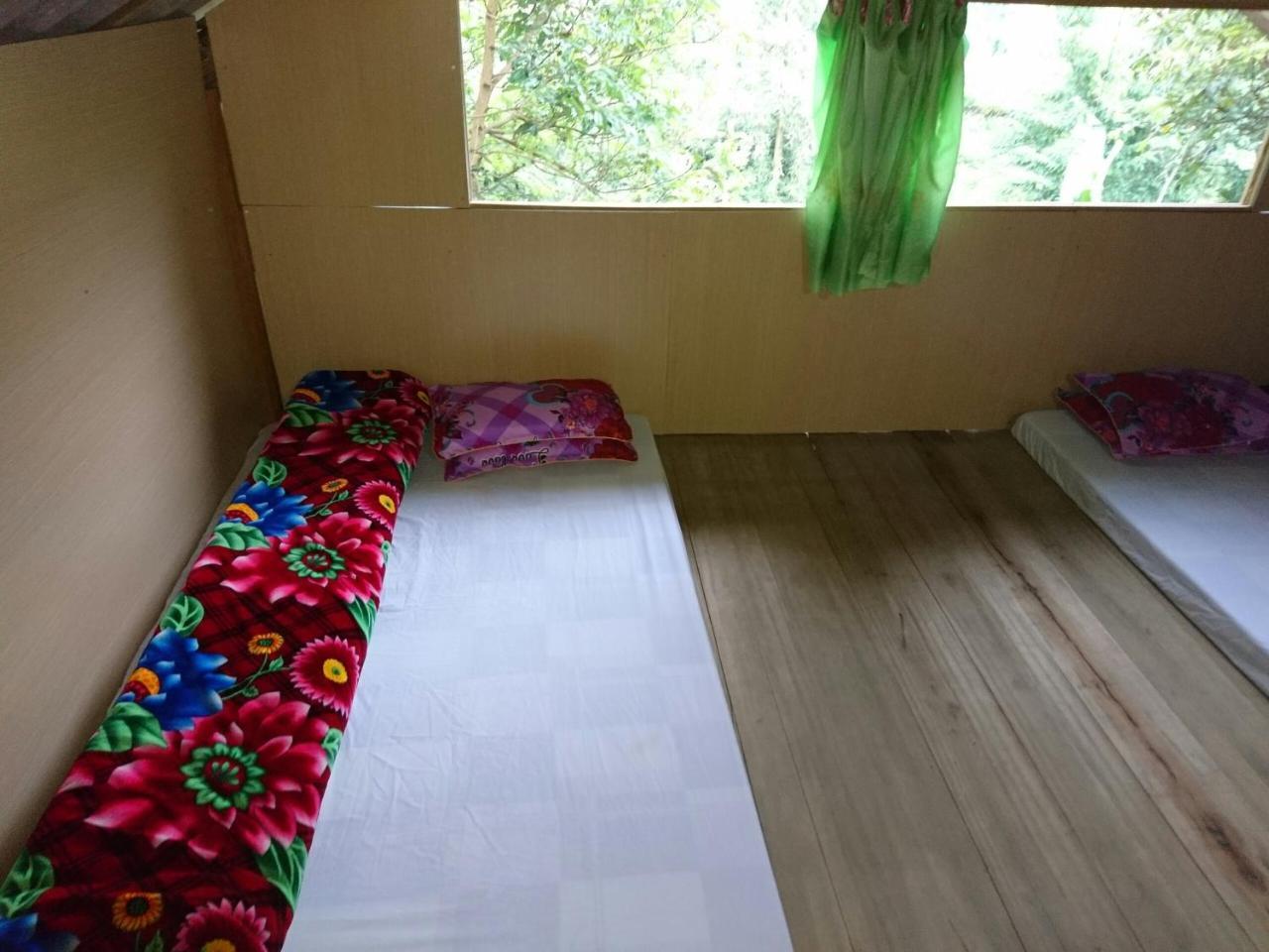 Homestay Dzay House