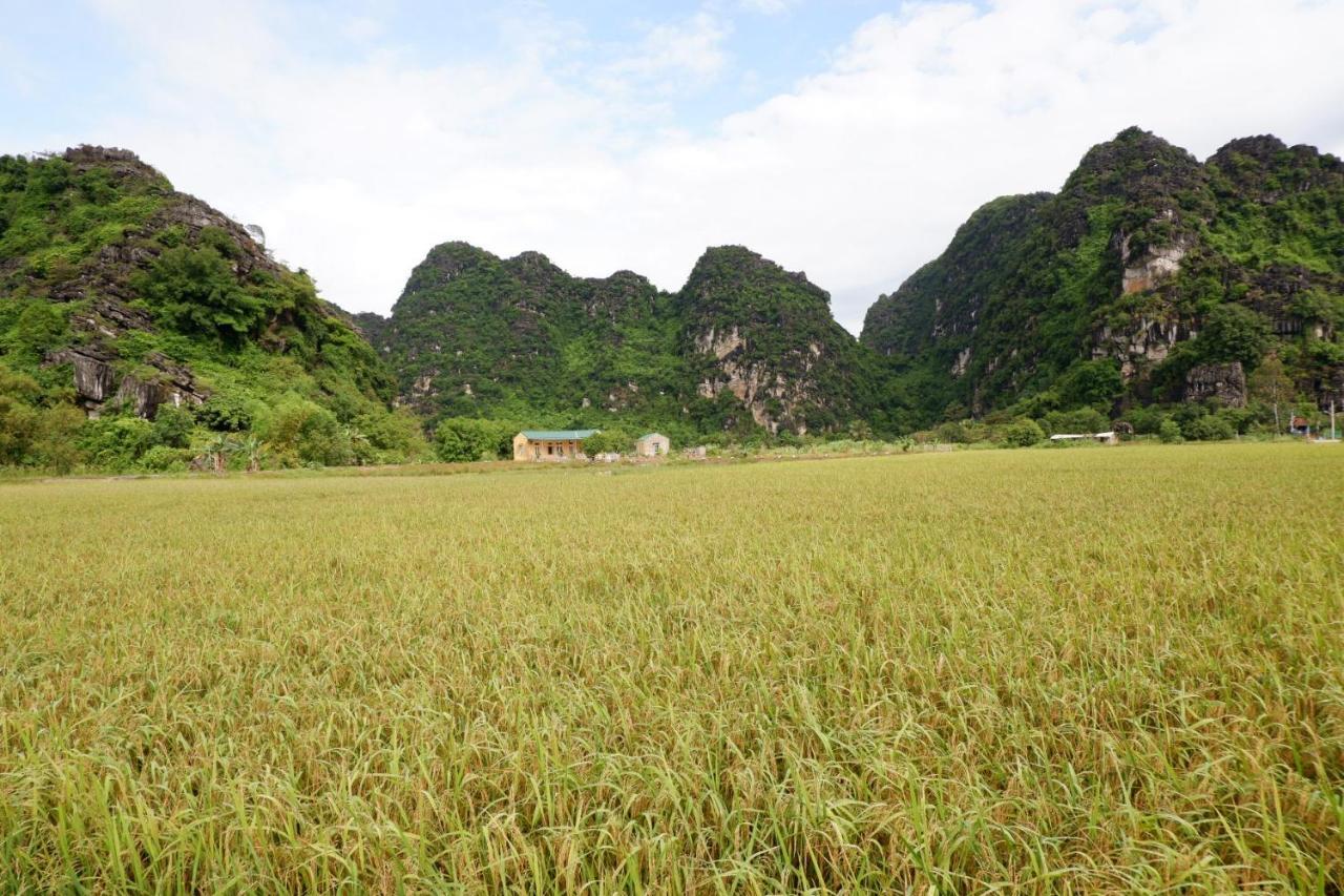 Yen Binh * Ninh Bình