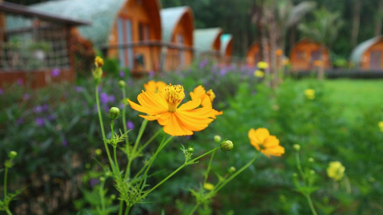 Farm stay Chay Lap Farmstay