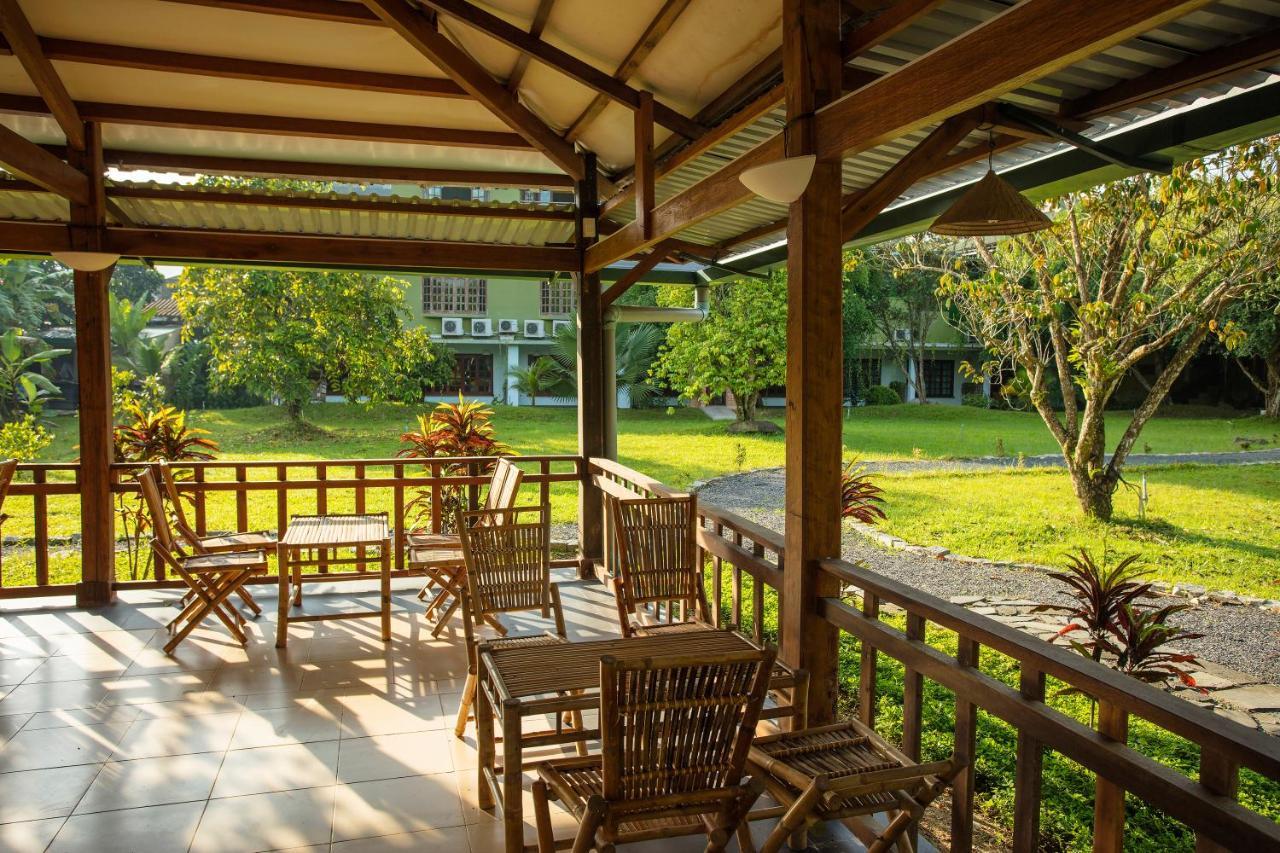 Jungle Hotel