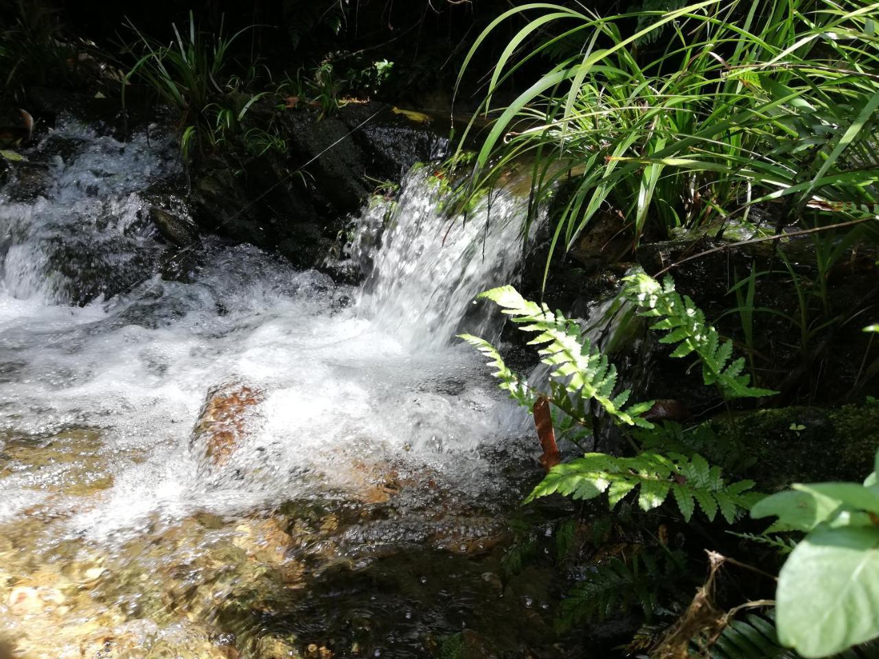 Resort Gio Lao Eco - Dao Che Thanh Chuong *