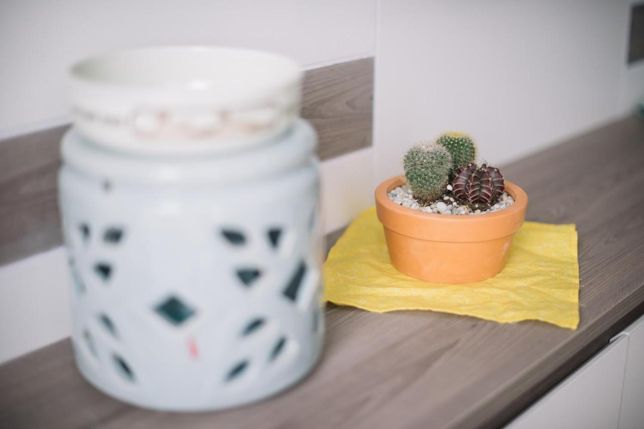 Daisy Apartment *