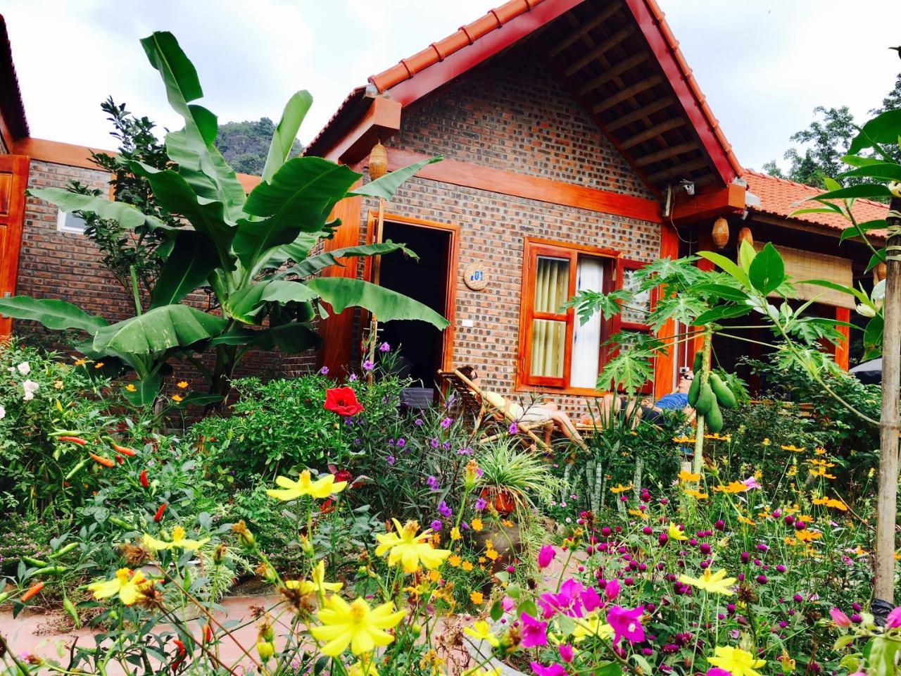 Tam Coc Friendly Homestay *