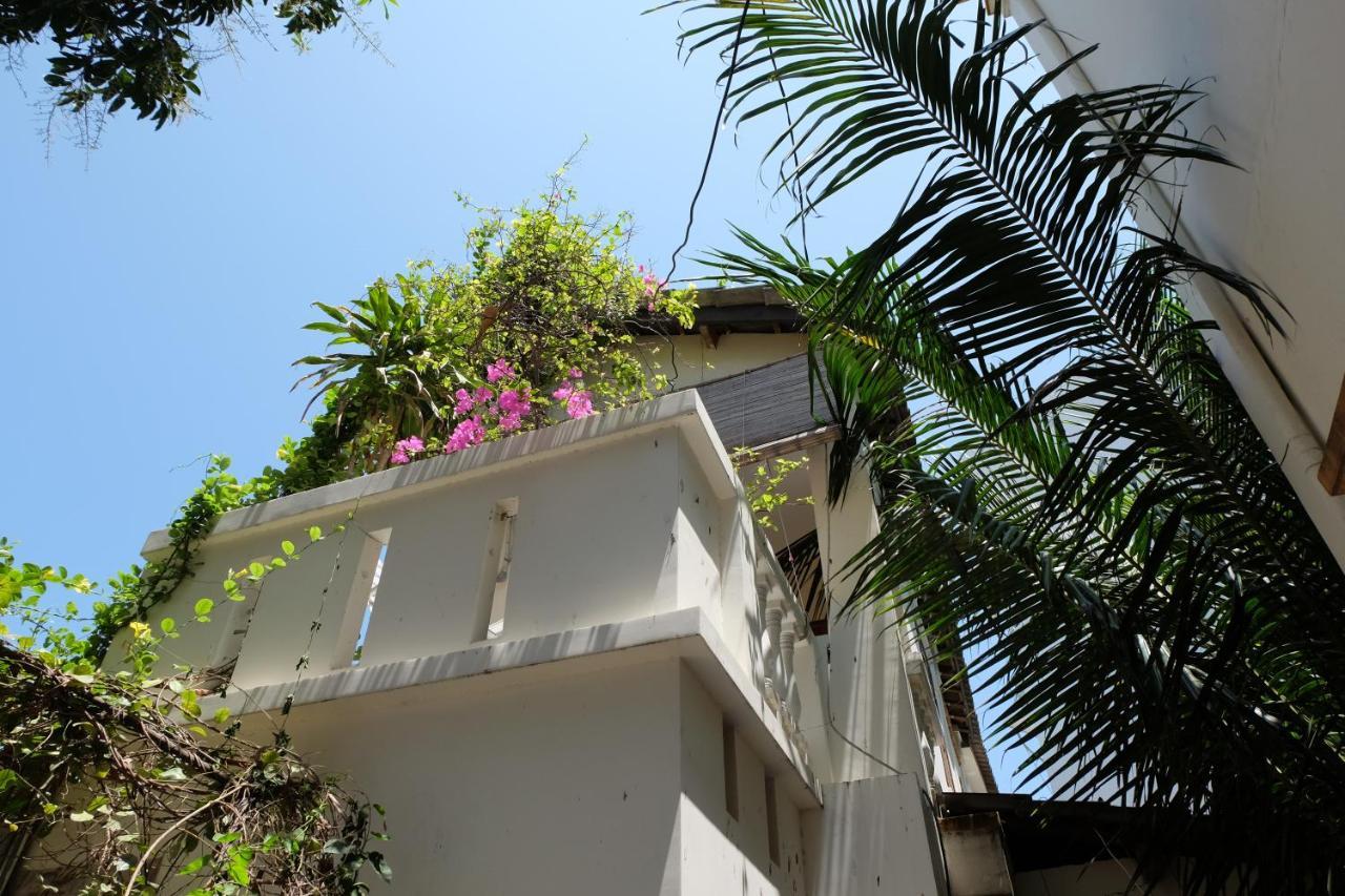 Nhà khách Moon House Tropical Garden - Lavender Nha Trang