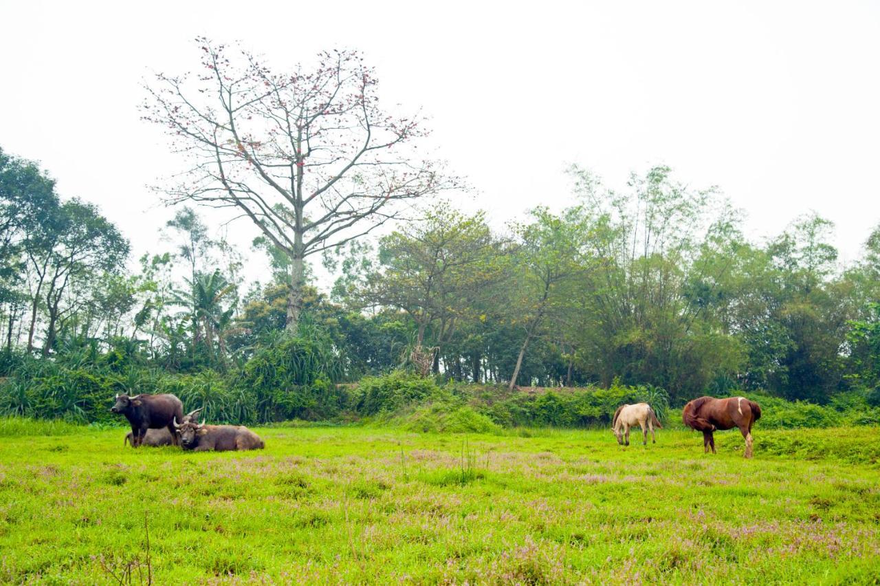 Hoang Giang Homestay Ninh Binh