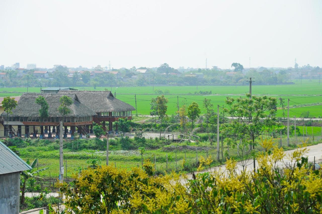 Hoang Giang Homestay Ninh Binh