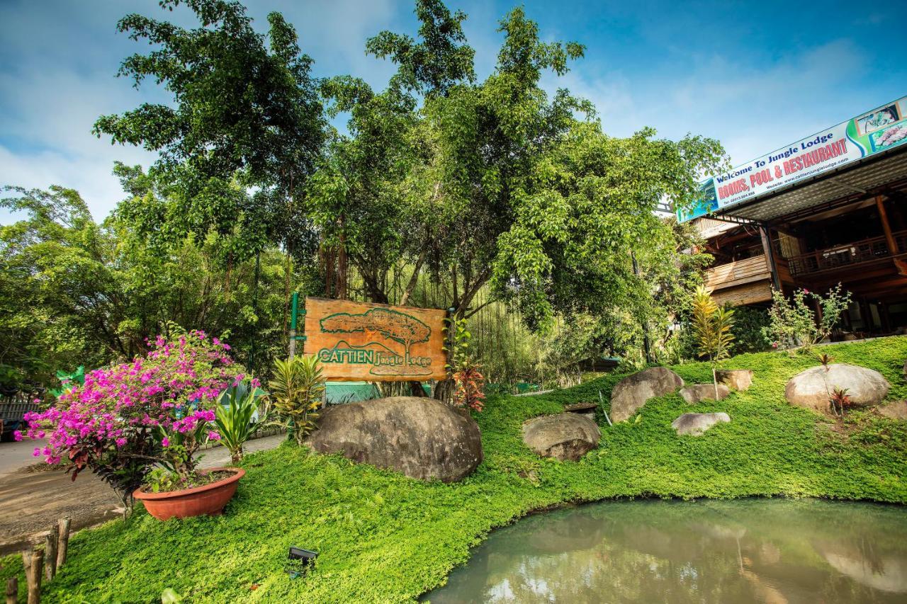 Hotel Jungle 3*