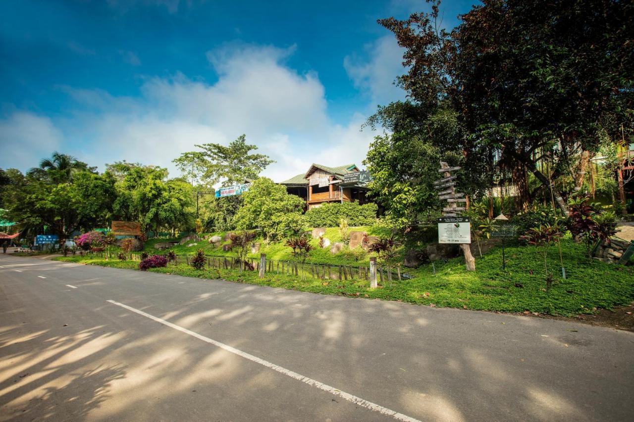 Jungle Hotel