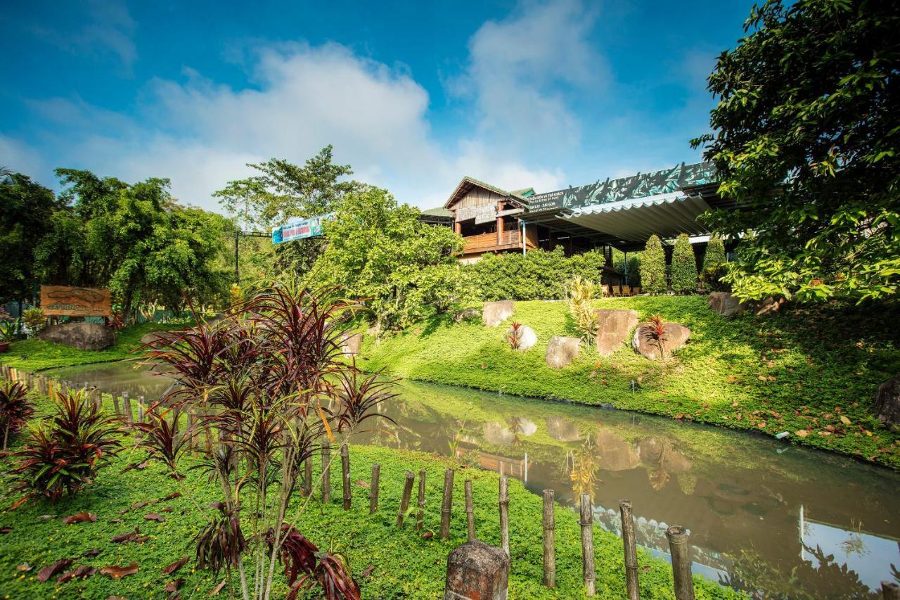 Hotel Jungle