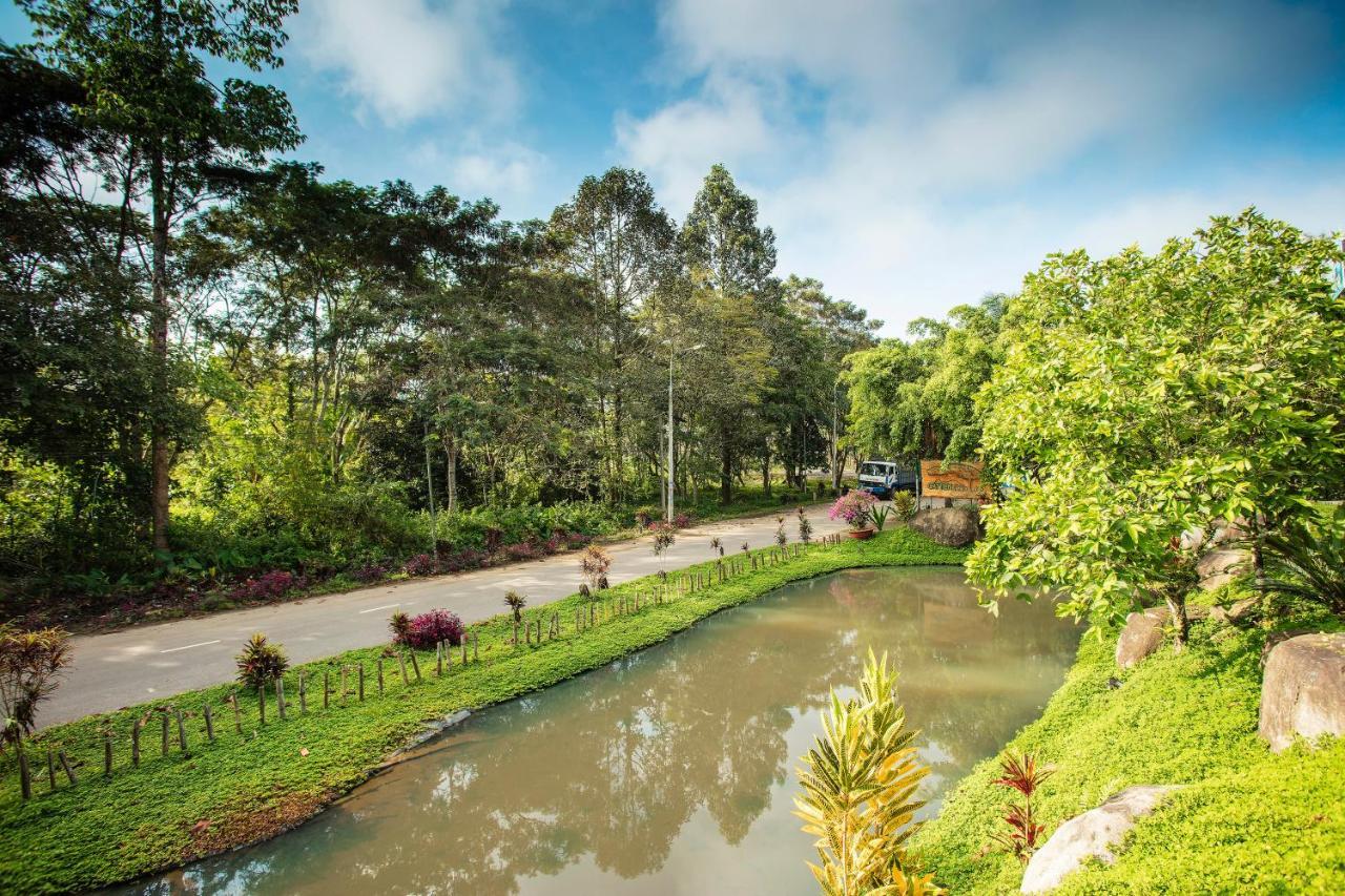 Jungle Hotel 3*