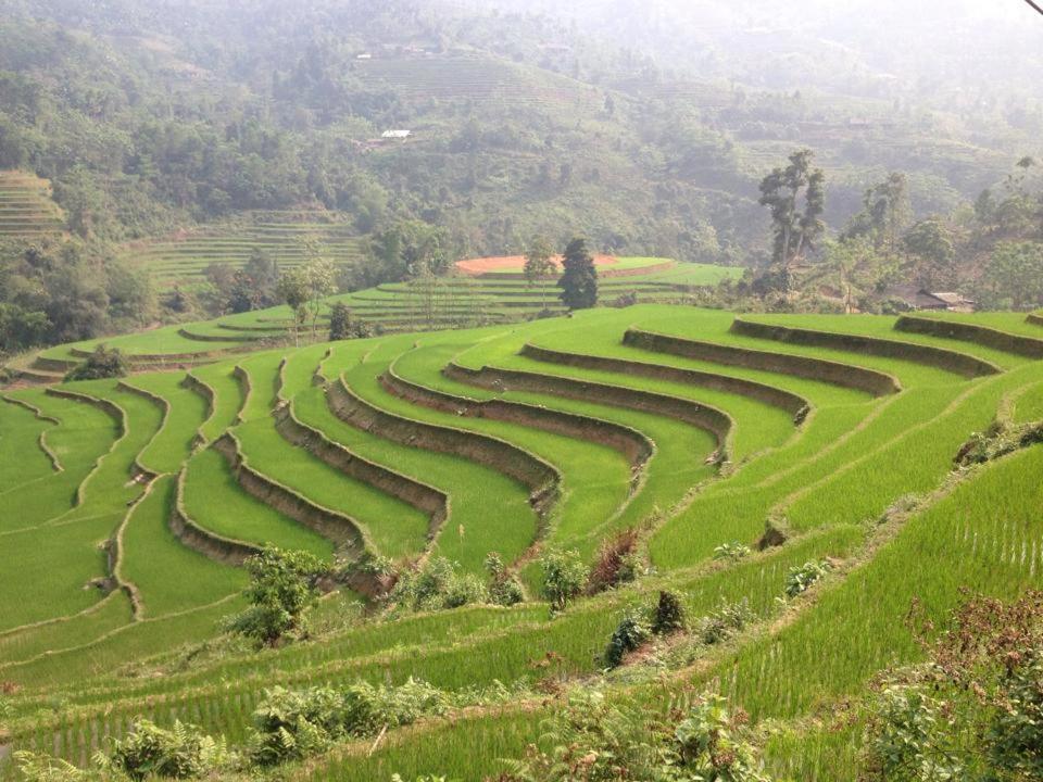 Ngan Nga Hotel *