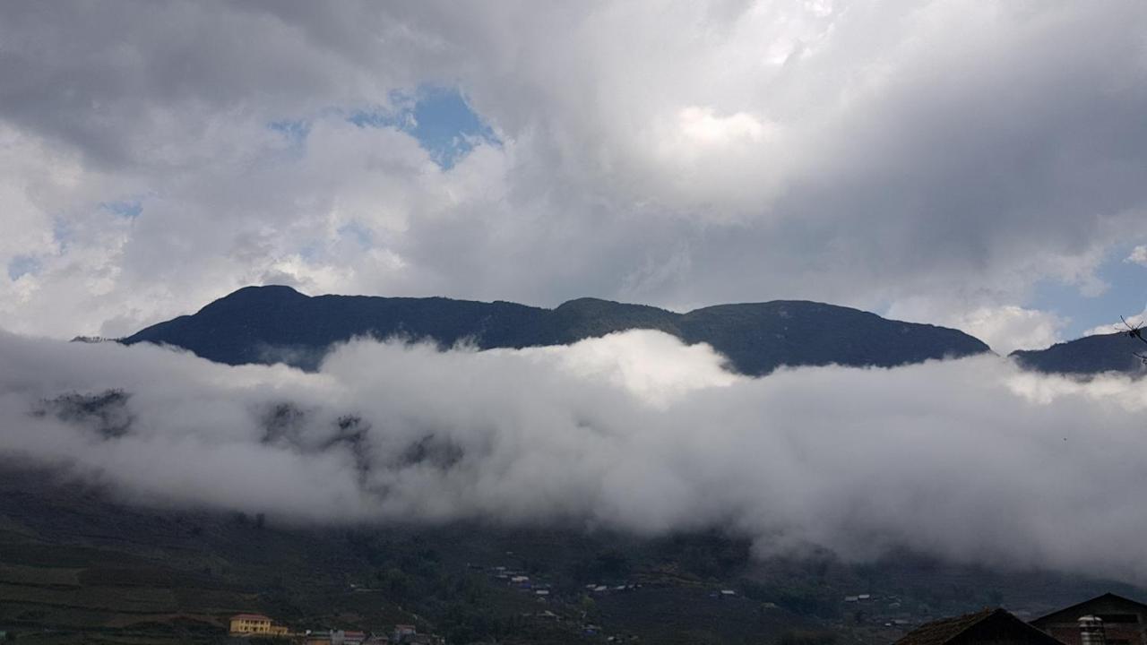 Tavan View *