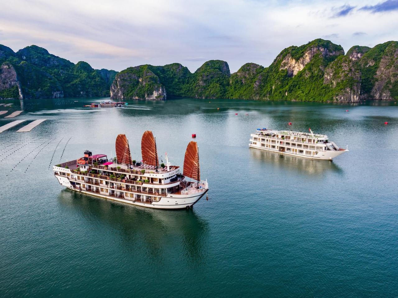  Alisa Premier Cruise Hạ Long