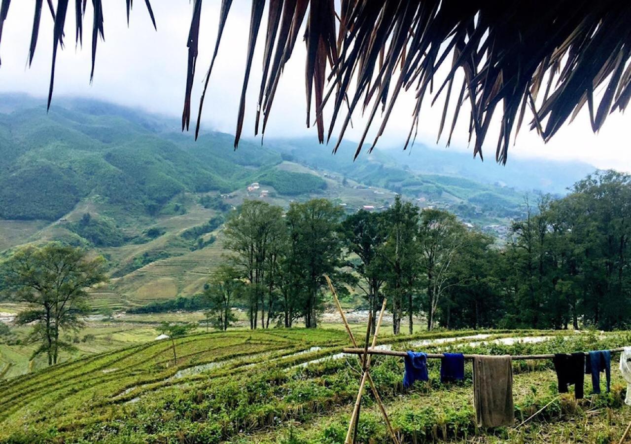 Hmong *