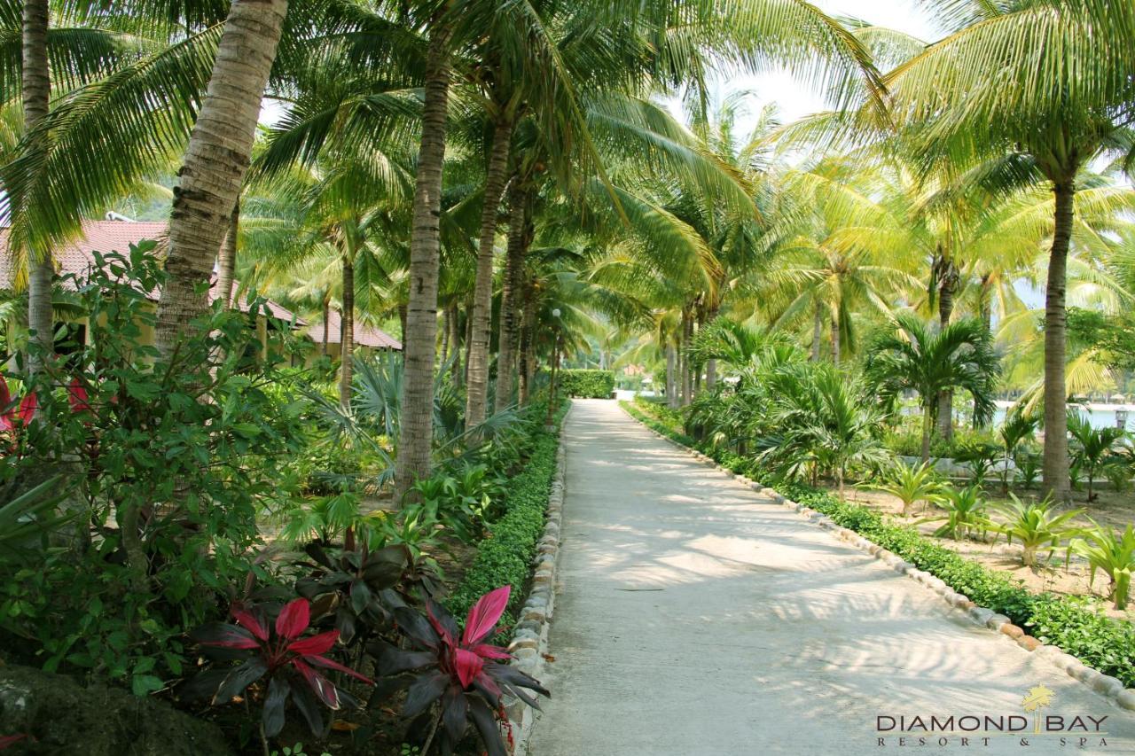 Diamond Bay &