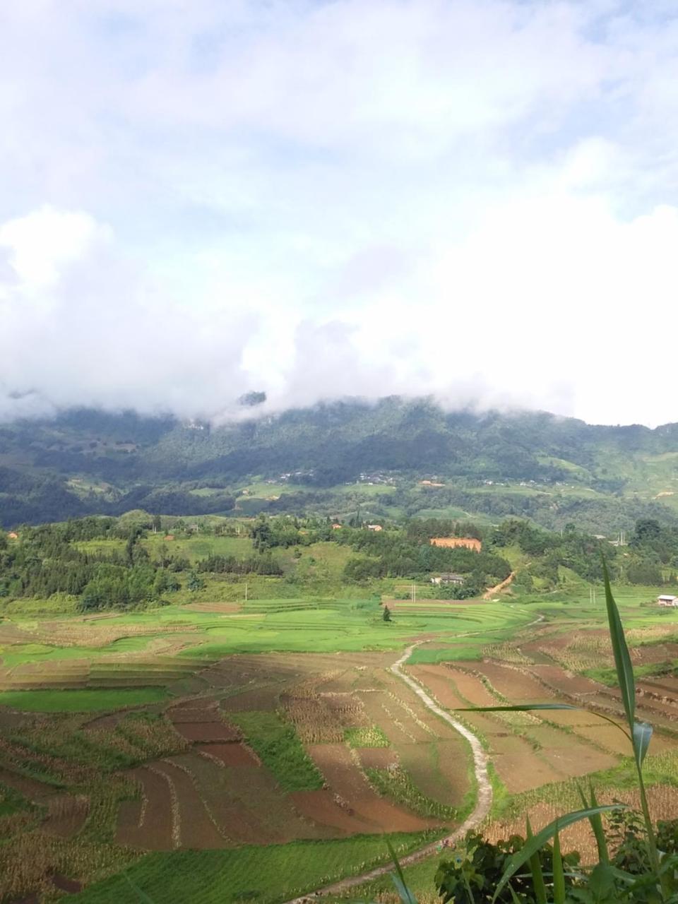 Homestay Ly Danh *