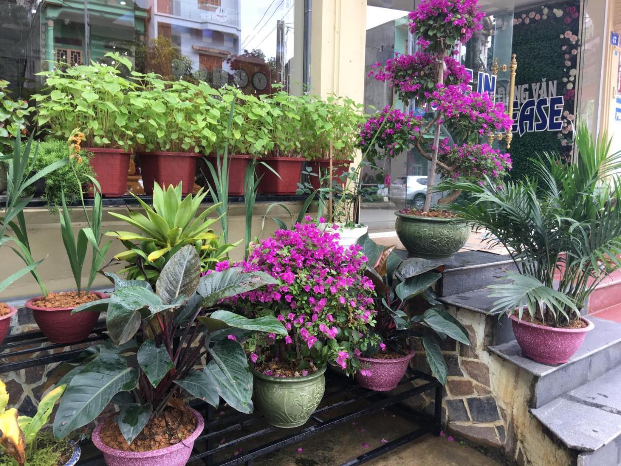 Hoang Ngoc Hotel Dong Van (Ha Giang)