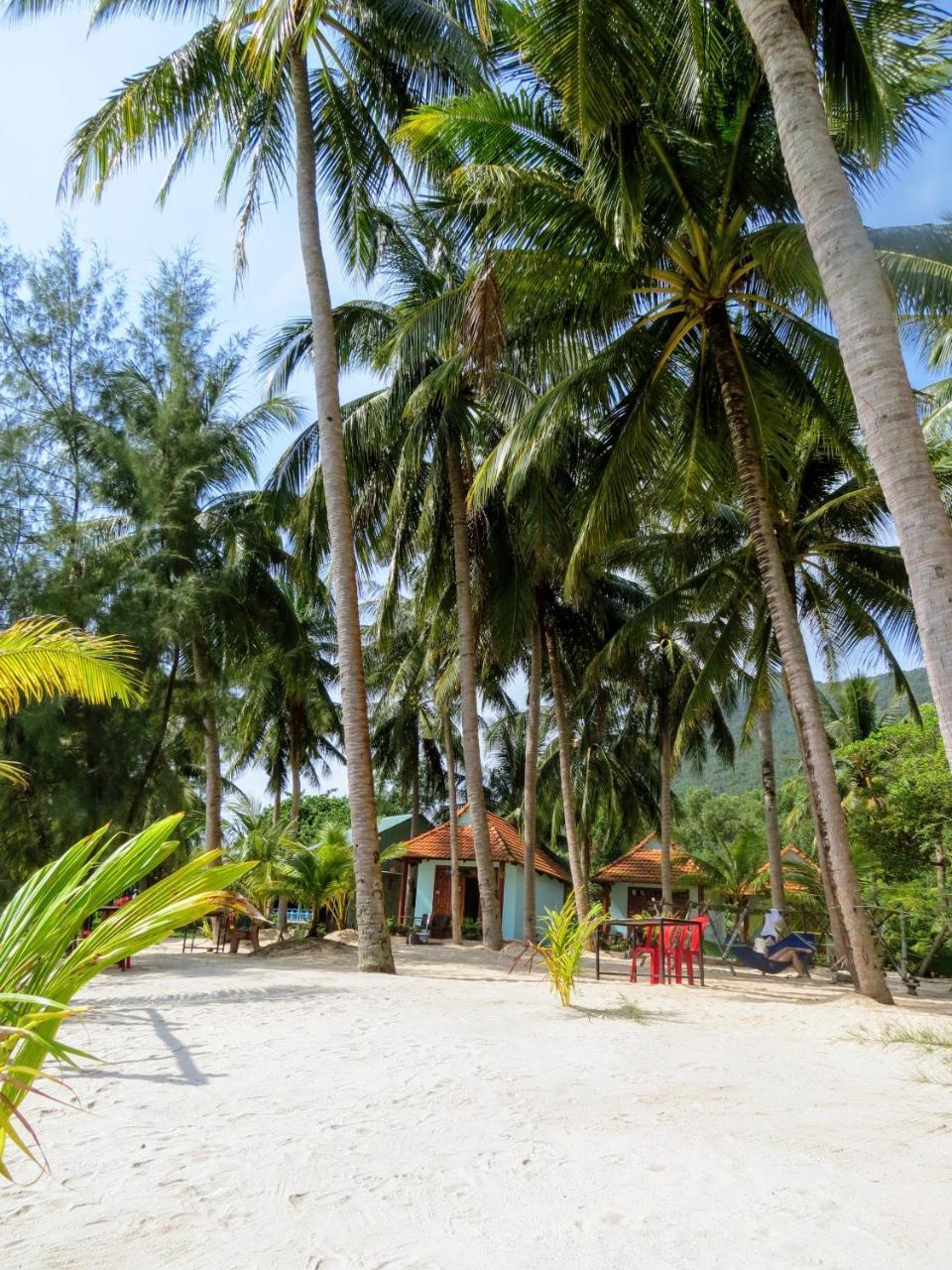 Resort Kiki Coconut