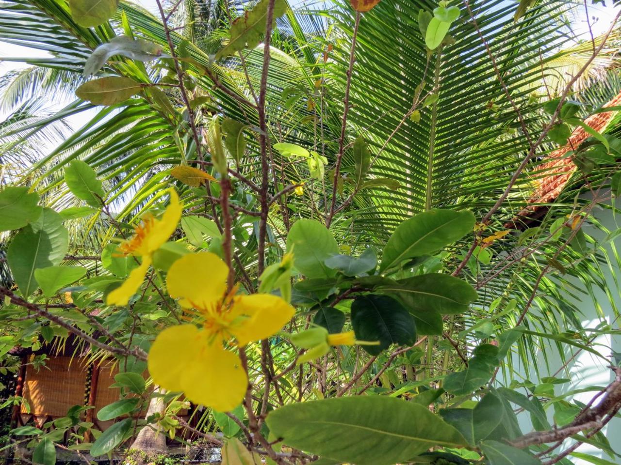 Resort Kiki Coconut Phú Quốc