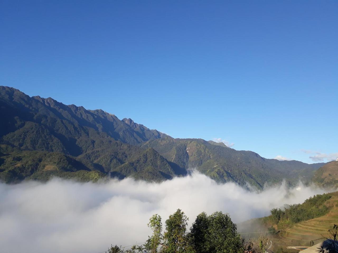 Mintu