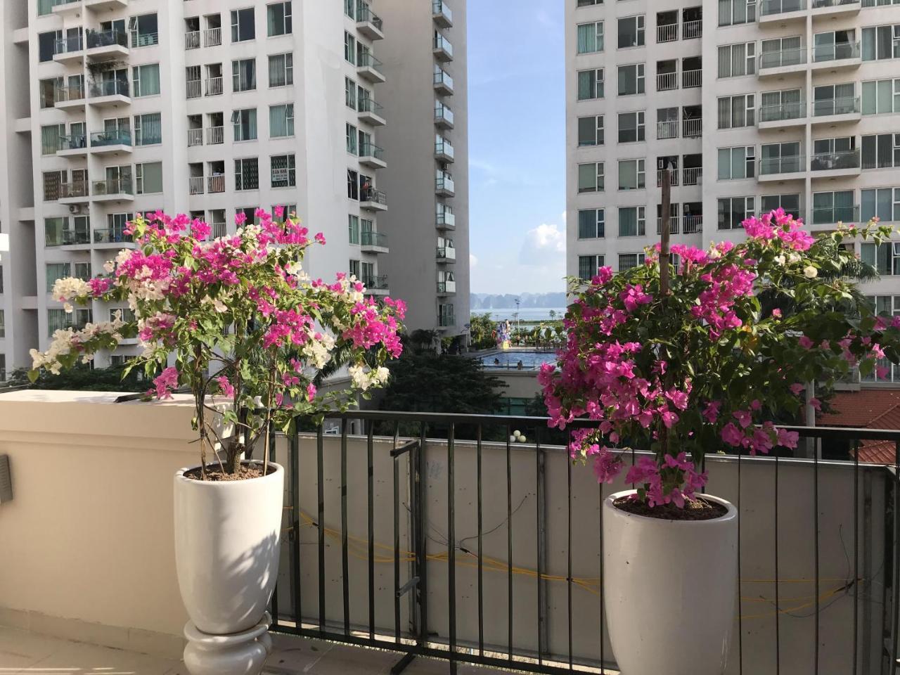 Sonny Homestay Apartment