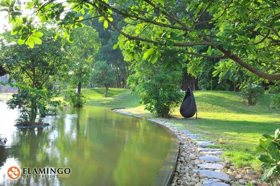 Flamingo Dailai - Hq * Ngoc Quang