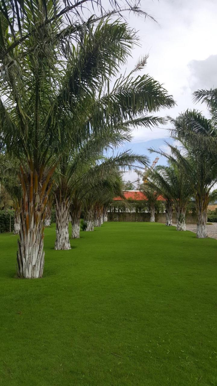 Agribank Ninh Thuận 3* Phan Rang