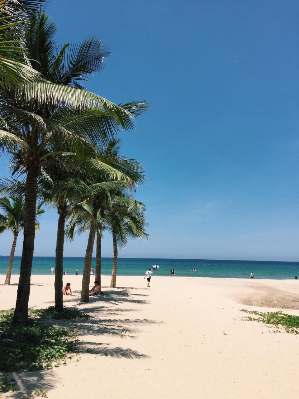 Daisy * Da Nang