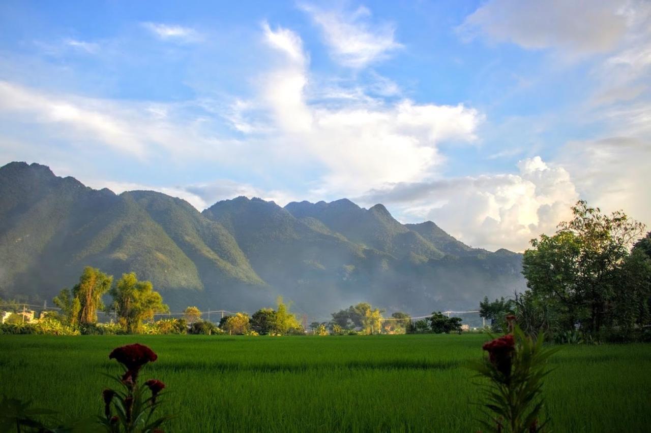 Countryside Homestay *