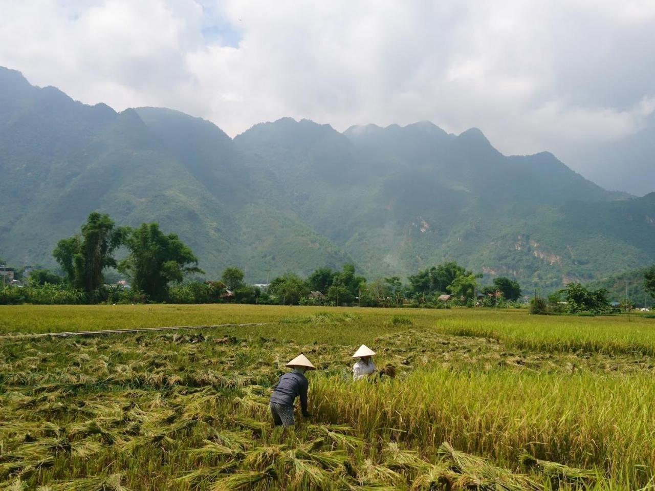Countryside Homestay Mai Chau