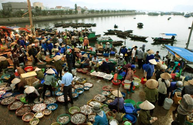 Ngọc Anh Hạ Long