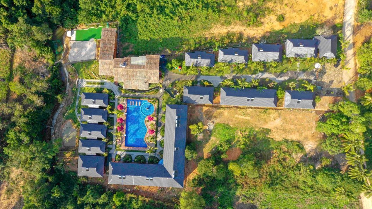 Bambusa Phu Quoc
