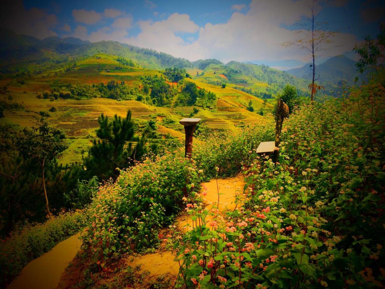 Hello & Tours Lodge Mu Cang Chai