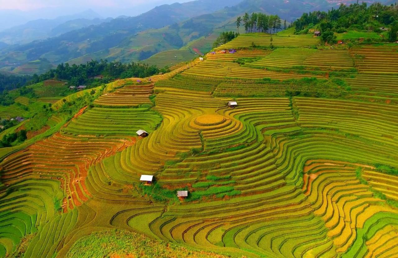Hello & Tours * Mu Cang Chai