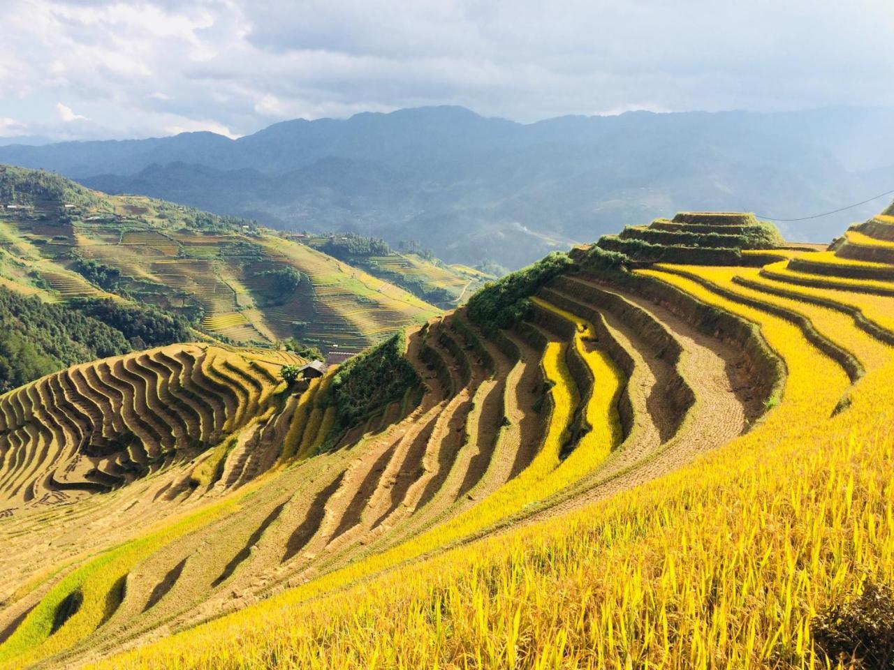 Hello & Tours * Mu Cang Chai