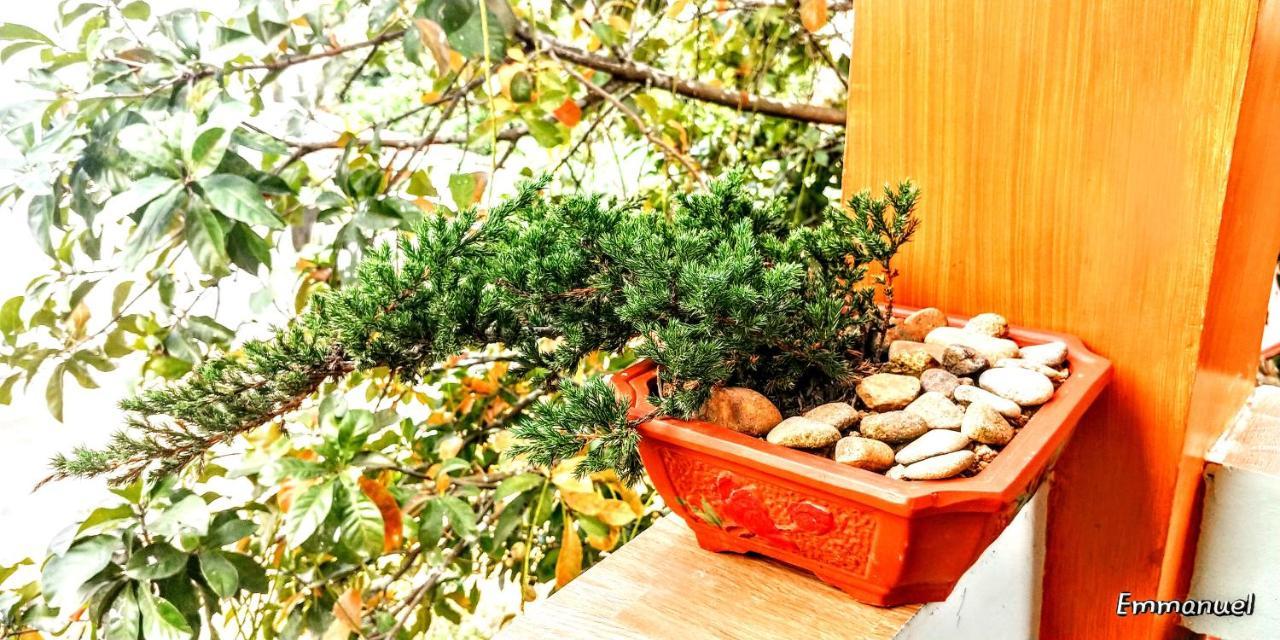 Ngoc's Garden House Homestay Phong Nha