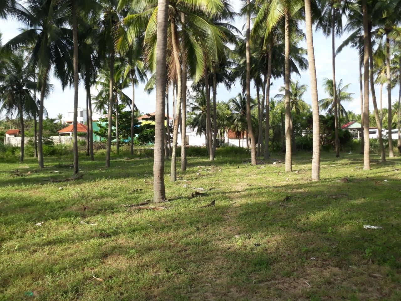 Damina Boutique 2* Mui Ne