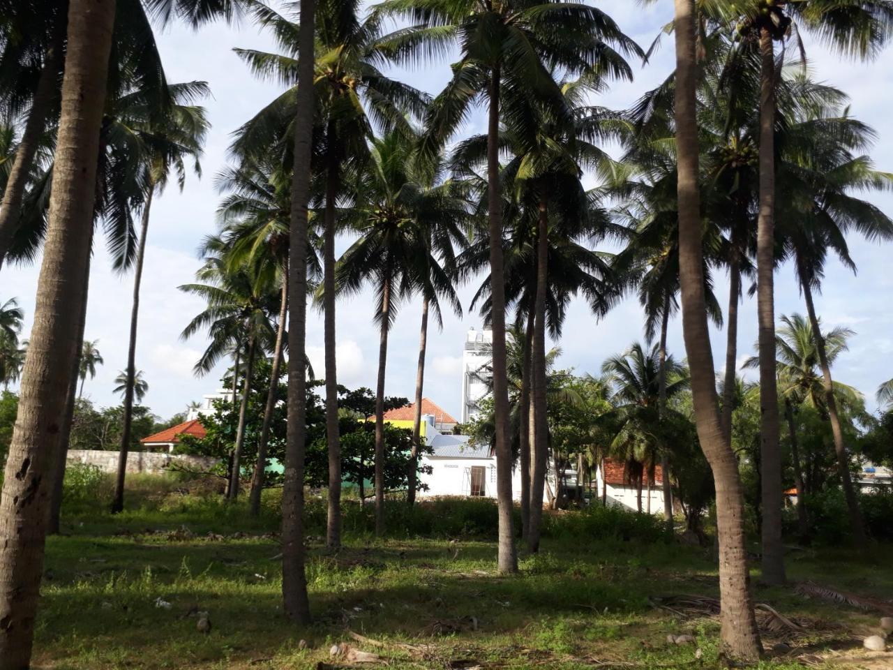 Hotel Damina Boutique